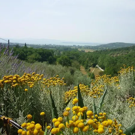 Casaemilia2 * Tuoro sul Trasimeno