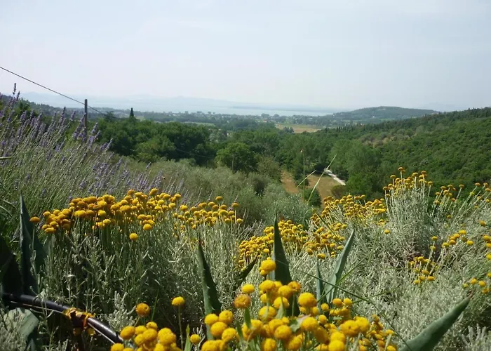 Casaemilia2 * Tuoro sul Trasimeno